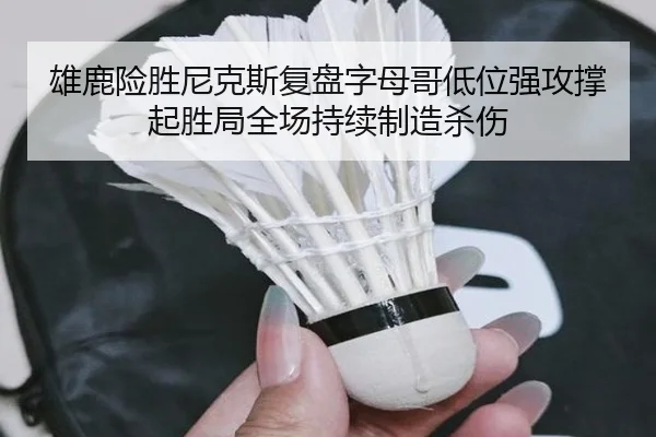 雄鹿险胜尼克斯复盘字母哥低位强攻撑起胜局全场持续制造杀伤